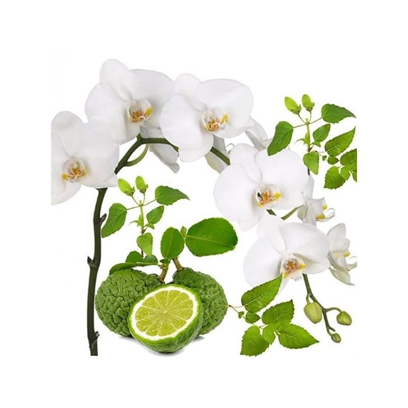 Geurolie Orchid Bergamot